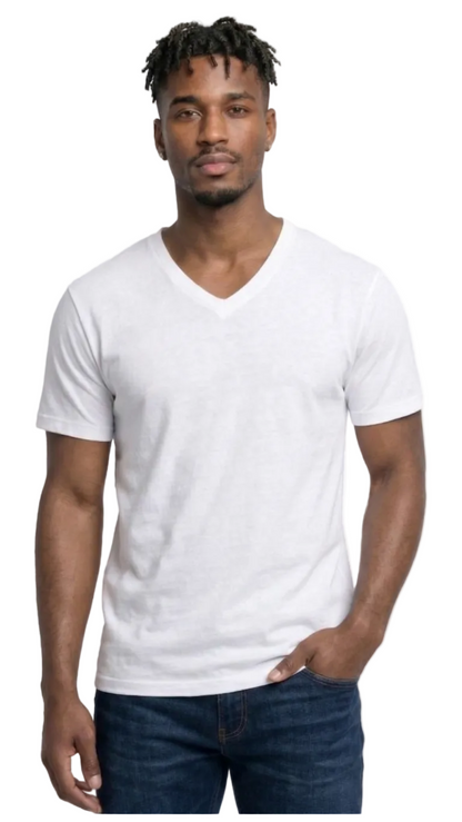 AT37X-Big & Tall-V-Neck SS Tee 3-Pack